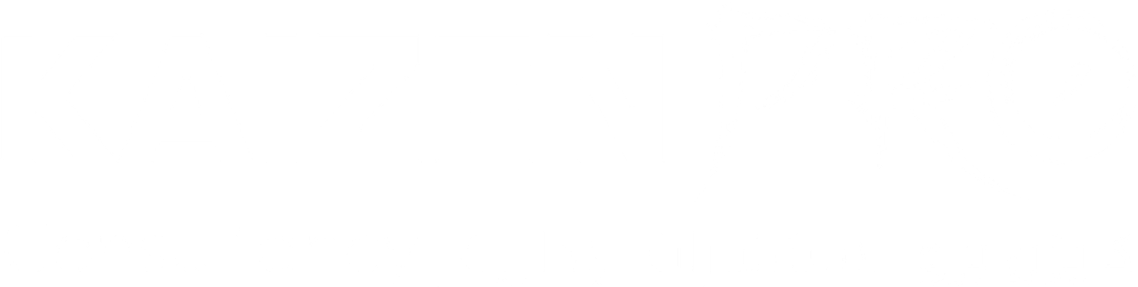 KaizenPro